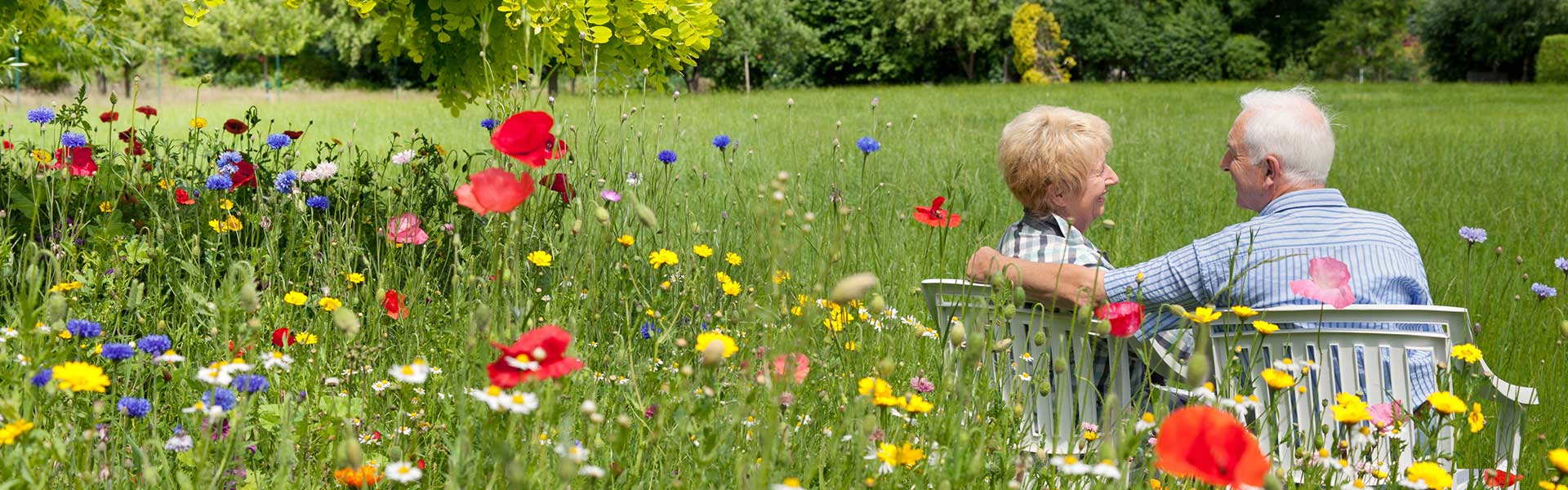 Cataract image couple sitting on bench